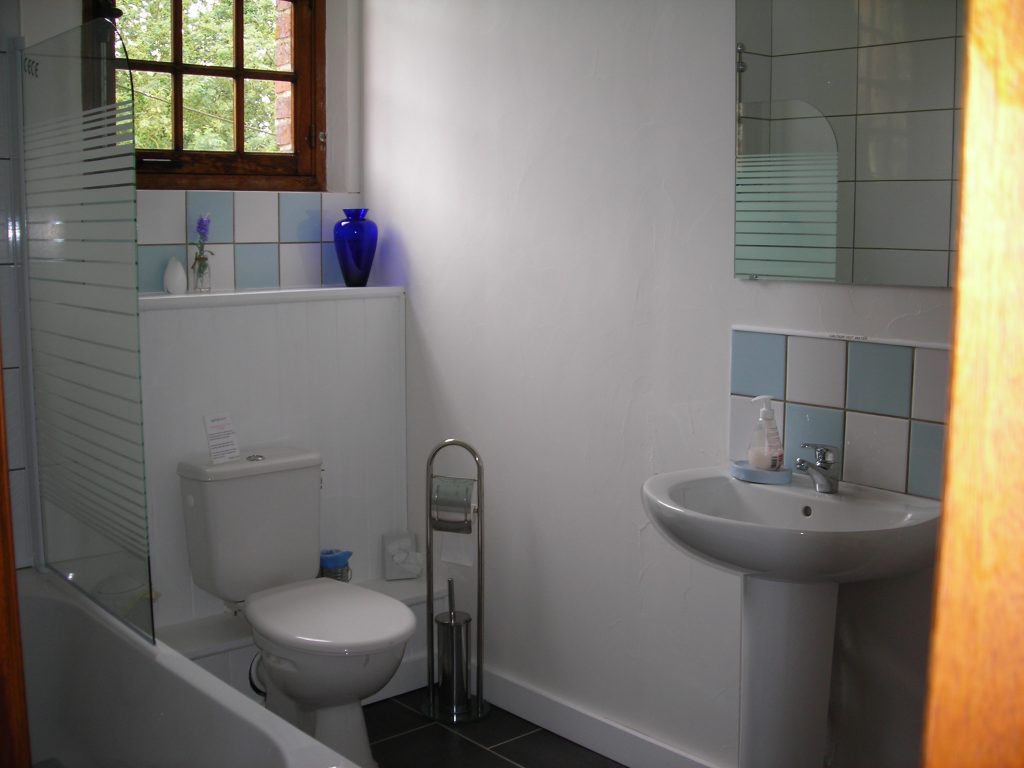 Blue Room private en-suite bathroom with bath and shower at Le Moulin St Blaise B&B