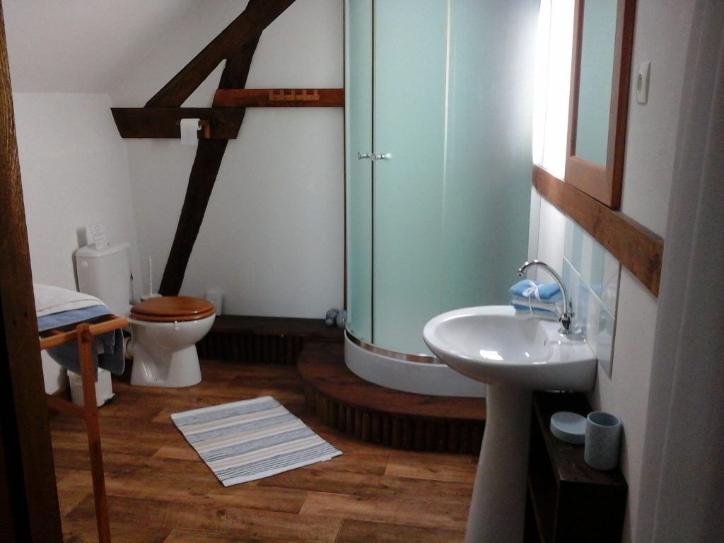 Ellen's Room private en-suite shower room with exposed beams at Le Moulin St Blaise