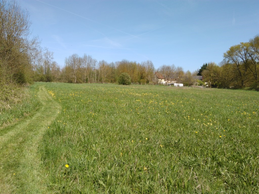 10 acres of walking grounds and wildflower meadows at Moulin St Blaise, Chahaignes, Sarthe