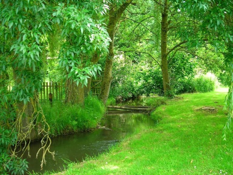 The La Veuve flowing past Moulin St Blaise watermill grounds, Chahaignes, Sarthe, France
