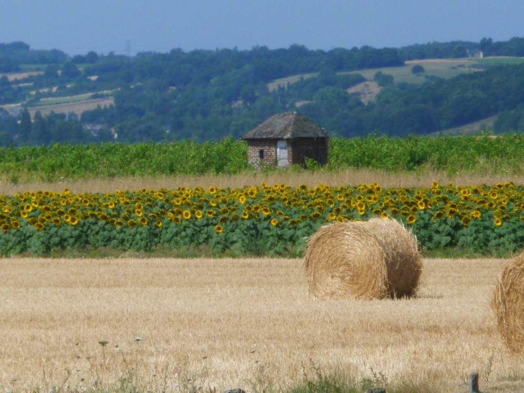 Sunflower fields and hay bales in the Sarthe countryside surrounding Moulin St Blaise
