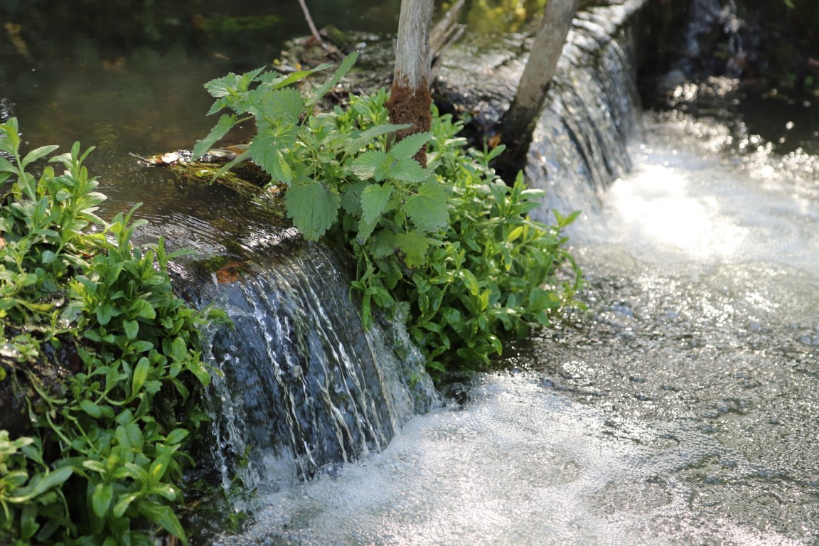 Small waterfall and weir on the La Veuve at Moulin St Blaise, Chahaignes, Sarthe