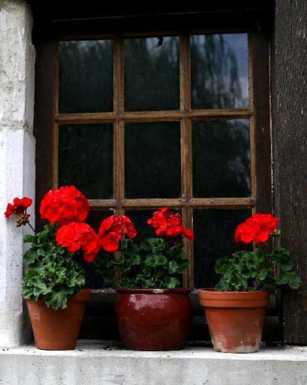 Traditional French stone window with red geranium pots at Moulin St Blaise mill