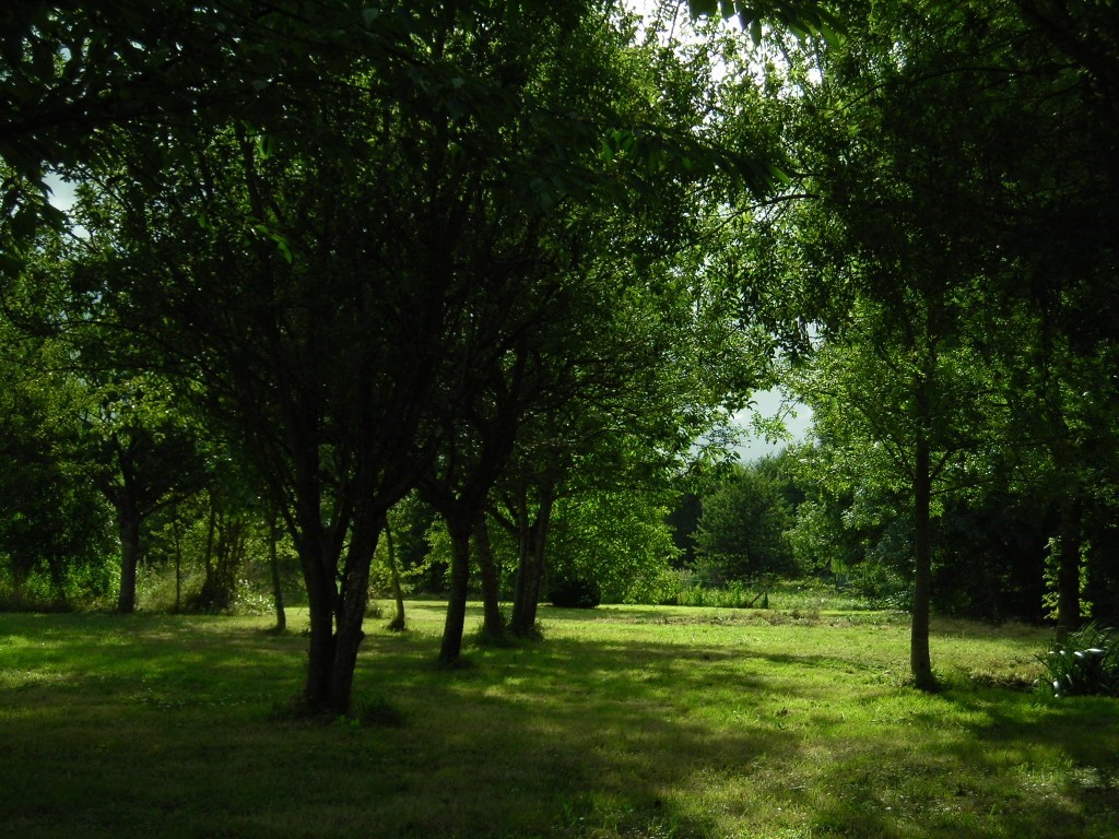 Ancient orchard in the grounds of Moulin St Blaise watermill, Chahaignes, Sarthe, France